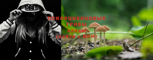 PSILOCYBIN Алексин