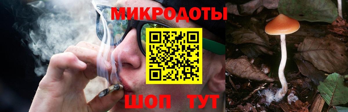 Псилоцибиновые грибы мицелий Еманжелинск