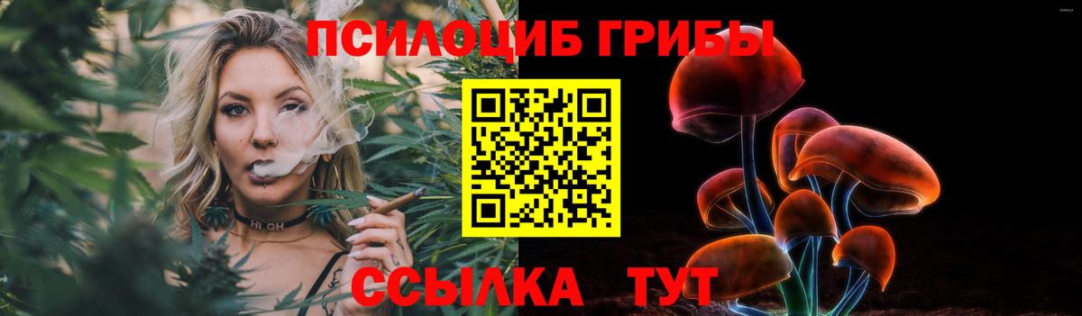 Галлюциногенные грибы мицелий  Псилоцибиновые грибы прущие грибы  Еманжелинск  Вход с VPN 